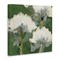 Stupell Industries Abstract Flower Buds Canvas Wall Art Design by Liz Jardine